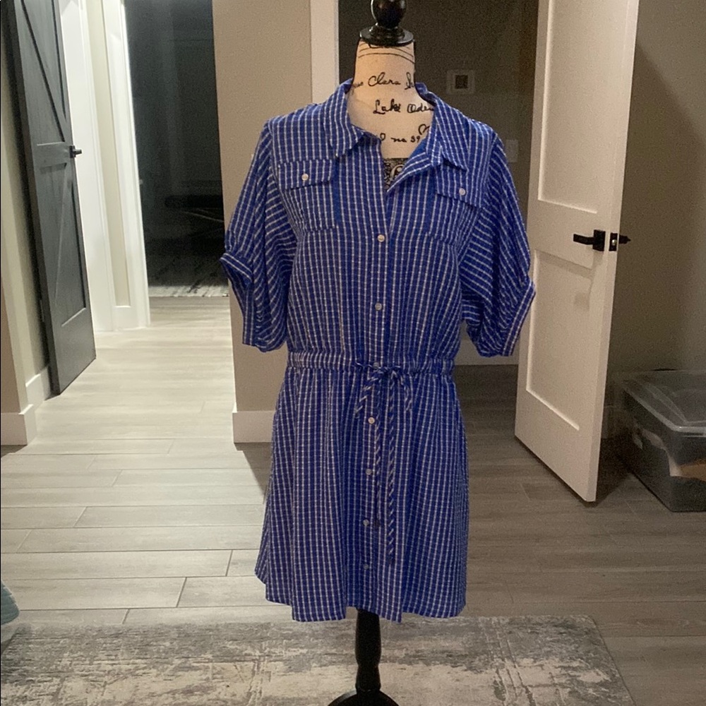Giani Bini Blue Checkered Shirt Dress